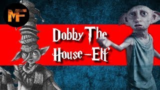 The Life of Dobby Origins Explained [upl. by Phip]