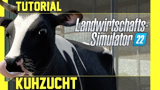 LS 22 Kühe Tutorial Kurz leicht und verständlich erklärt [upl. by Janine]