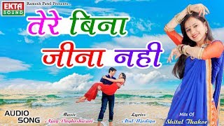 Shital Thakor  Tere Bina Jina Nahi  Hits Of Shital Thakor Hindi Songs  Ekta Sound [upl. by Yzmar415]