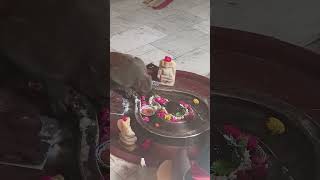 har Har Har Mahadev 🕉️🙏 ytshorts [upl. by Rizzo]