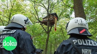 Bäume oder Braunkohle Der Kampf um den Hambacher Forst  WDR Doku [upl. by Hake279]