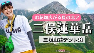 【三俣山荘テント泊】お花畑広がる夏の北アルプスで楽しむ絶景登山！山小屋で働く友人を訪ねて17km！道中は旬を迎えたコバイケイソウや槍ヶ岳、鷲羽岳など美しい景色に癒されました [upl. by Corvin]