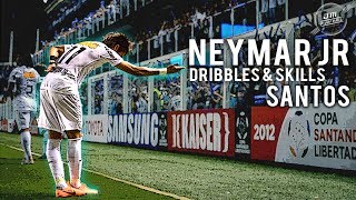 Neymar Jr  Dribbles amp Skills Santos  HD [upl. by Florentia]