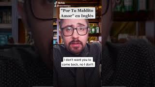 quotPor Tu Maldito Amorquot Vicente Fernandez English Translation [upl. by Cacilia]