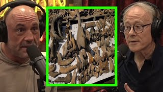 Graham Hancock reveals boneyard alaskas mystery  joe rogan [upl. by Elrod]