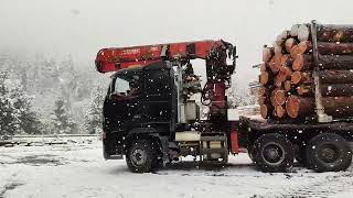 Grumier en montagne ❄️❄️Premiere neige ça bosse même avec la neige scierie Savoldelli [upl. by Gan843]