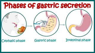 Gastrointestinal System Diagnostic Tests  MedicalSurgical GI  LevelUpRN [upl. by Eiger]