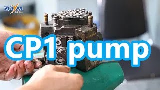 How to dismount and install the pump CP1 [upl. by Zetrom331]