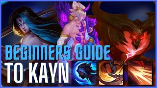 RED KAYN META EVOLVING  How to Play Kayn Jungle amp Carry Season 14  League of Legends [upl. by Ellahcim]