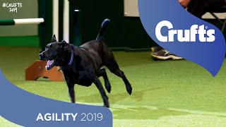 We Got a Runner Rescue Dog Agility  Crufts 2019 [upl. by Yblehs243]