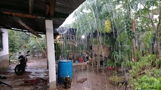 Fuertes lluvias con viento que rica se puso freca la tarde asi disfrutamos la lluvia en casa😱 [upl. by Caia634]