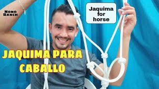 COMO hacer una JAQUIMA para CABALLO jaquima for horse [upl. by Fransis]