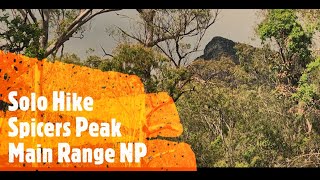 Spicers Peak  Solo Hike [upl. by Medwin]