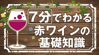 【赤ワインの基礎知識】膨大なワインの基礎が【7分】でわかる。紳士の嗜みシリーズ [upl. by Ianteen720]