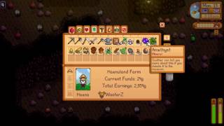 How to get Amethyst  Stardew Valley [upl. by Hewart]