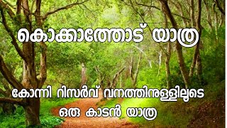 Kokkathodu trip Kalleli Bridge Konni Reserve Forest TripLifeByLibin [upl. by Labannah]