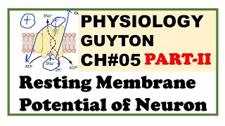 Chapter5PartII  Resting Membrane Potential  Guyton Physiology  Dr Asif Lectures [upl. by Yendis]