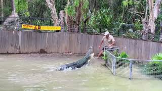 Attacked by saltwater croc show at Hartleys Crocodile Adventures [upl. by Ytsrik]