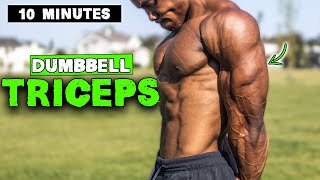 10 MINUTE LIGHTWEIGHT DUMBBELL TRICEP WORKOUT [upl. by Penman]