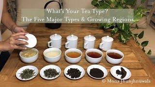 An Intro to Camellia Sinensis Whats Your Tea Type [upl. by Ees]