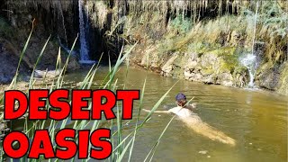 Ruins Oasis Beer Hot Springs Hiking the Amargosa River Trail From China Ranch to Tecopa [upl. by Idelle595]