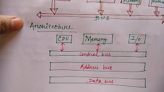 bus structure in hindi  Lec10  COA  Niharika Panda [upl. by Ellord]