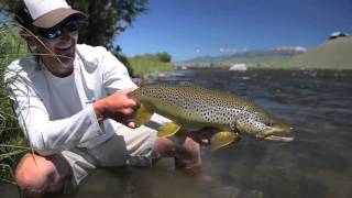 2013 Fish REEL  fly fishing Montana [upl. by Faso]