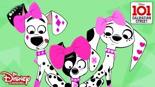 🤩The Woof Factor  101 Dalmatian Street  Disney Channel Africa [upl. by Adnole]