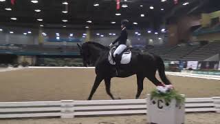 US Dressage Finals 2021 1st Level Musical Freestyle Championship [upl. by Durrett684]