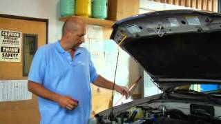 How to Check amp Add PowerSteering Fluid [upl. by Elicul400]