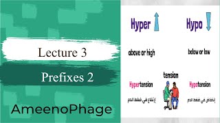 Medical Terminology Course  Prefixes 2 [upl. by Nauqyaj]