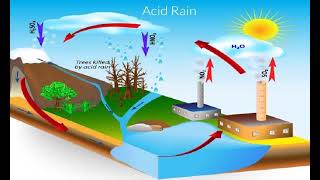 acid rain аудирование 7 класс [upl. by Abehshtab867]