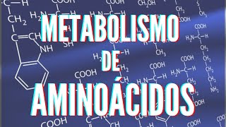 Metabolismo de aminoácidos [upl. by Remle]