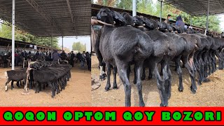 QOQON optom QOY bozori NARXLARI [upl. by Kirk]