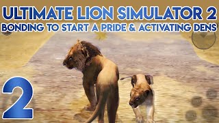 Ultimate Lion Simulator 2 Bonding to Start a Pride and Activating Dens [upl. by Niltag305]