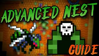 Advanced Nest Guide Rotmg [upl. by Morocco]