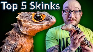 Top 5 BEST Pet Skinks  Potato Parade [upl. by Aicirpac]