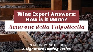 The Beginners Guide to AMARONE Wines [upl. by Aihseyk854]