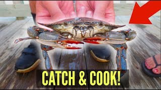 Catch Cook Eat BLUE CRABS How To Catch amp Eat Crabs [upl. by Acirretal]