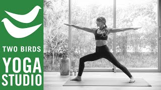 45 Minute Vinyasa Yoga  Smooth Calm amp Uncomplicated [upl. by Kcid]