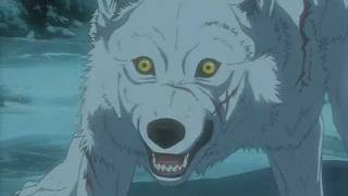 Wolfs Rain  Stand my groundwmv [upl. by Nylitsirk]