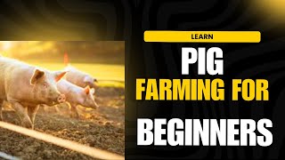 Pig Farming 101 For Beginners [upl. by Emelita858]