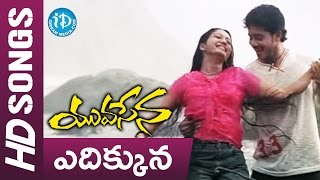 Ye Dikkuna Nuvvunna Video Song  Yuvasena Movie  Sharwanand  Bharath  Jassie Gift  Jayaraj [upl. by Shellie79]