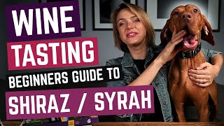 Wine Grapes 101 SHIRAZ  SYRAH [upl. by Rodie892]