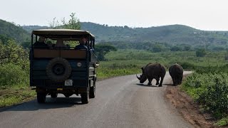 Exploring Africas Oldest Game Reserve Hluhluwe Imfolozi [upl. by Eilraep711]