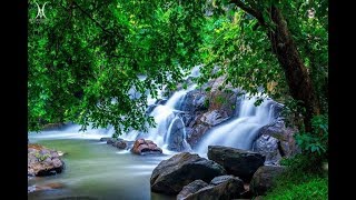 Tourist Places In Pathanamthitta  kerala Tourism [upl. by Attenehs]