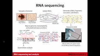 Introduction to RNA Sequencing [upl. by Oalsecnew]