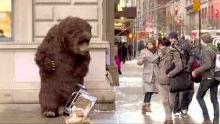 Bear in NYC Prank [upl. by Agnot746]