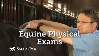 Equine Physical Exams [upl. by Maisie]