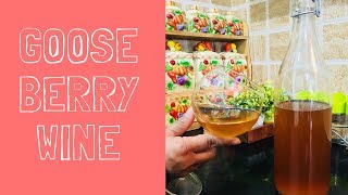 How to make healthy gooseberry wine [upl. by Noxin]